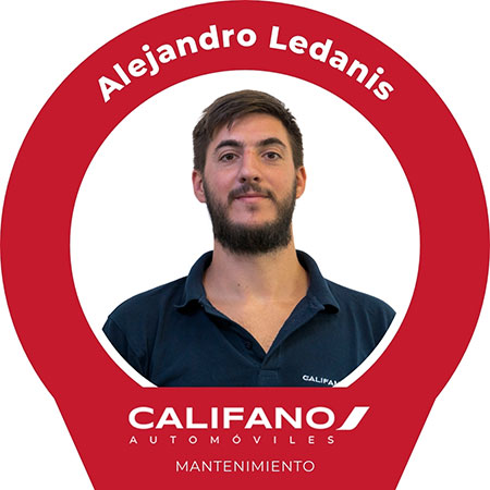 Alejandro Ledanis - Mantenimiento