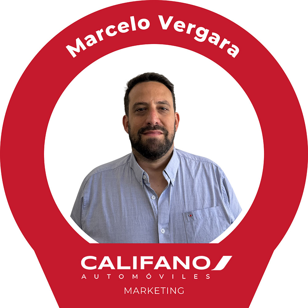 Marcelo Vergara